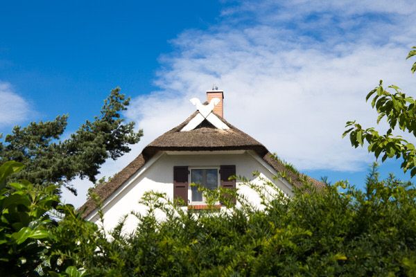 Immobilien Auf Fischland Darss Zingst Meerfischland Immobilien